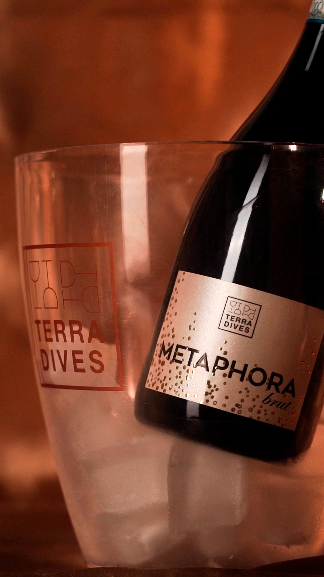 Festeggia l'arrivo del 2024 con Metaphora!🥂

Dedica un brindisi speciale ai
