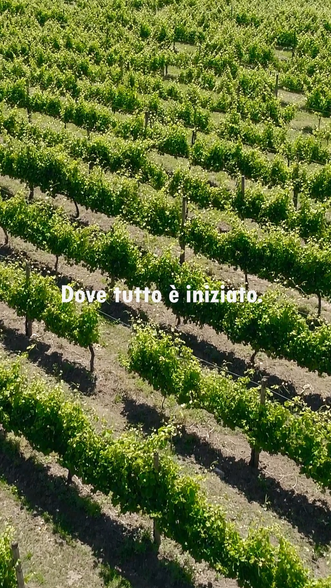 Esiste una terra che non si calpesta ma si abita.
È